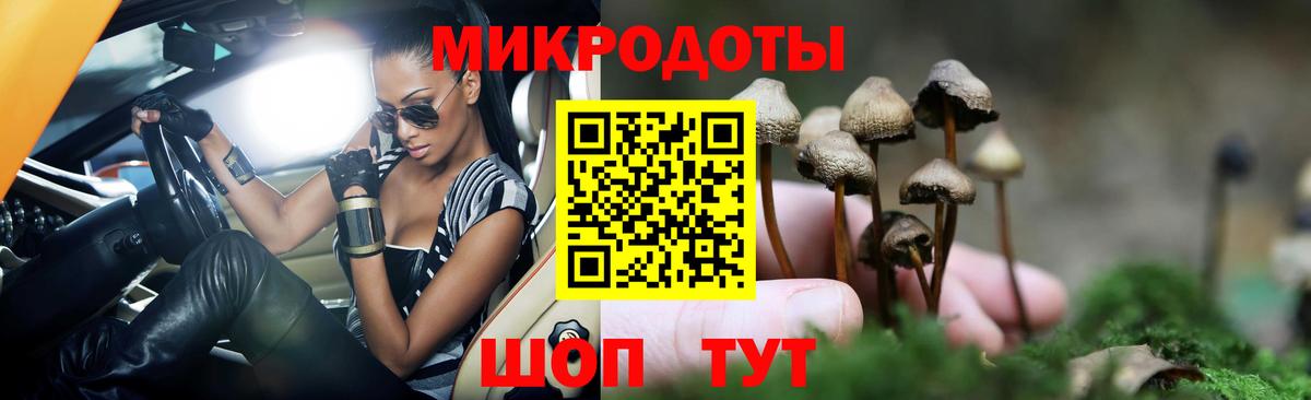 Галлюциногенные грибы Psilocybe  Вход с VPN  Шадринск 